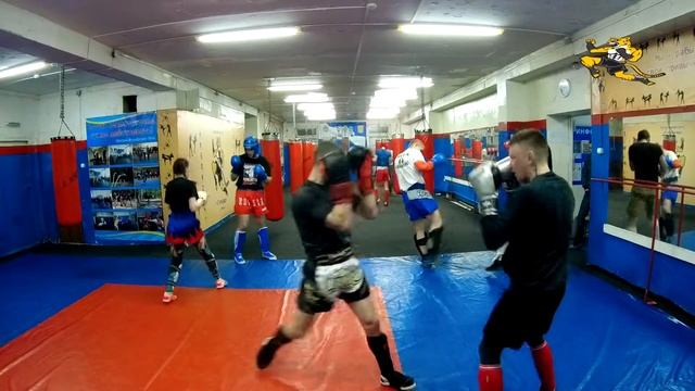 Кикбоксинг. Условно-вольная работа в парах на Дмитриева 11/7 (19.03.2021г) смотреть онлайн