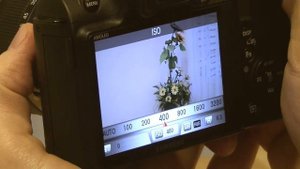 NX11 Samsung's New Mirrorless Camera Review