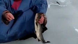 рыбалка в Воркуте