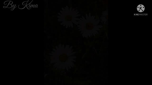 Фото дикой природы. Окружающий мир. смотреть онлайн