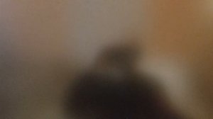 Купили монитор 27 дюймов FullHD 165Hz SANC N70PRO II/M2742