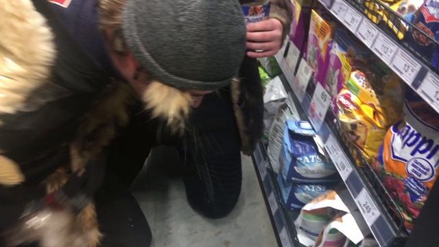 О/Ф 13 - Doggystyle (Выгул собак на главной улице) смотреть онлайн