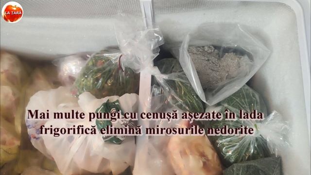 2 metode pentru îndepărtarea mirosului neplăcut din frigider: cenușa sau bicarbonat de sodiu смотреть онлайн