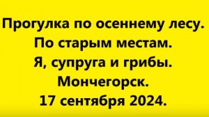 Прогулка по осеннему лесу. Я, супруга и грибы.Мончегорск. 17.09.24.