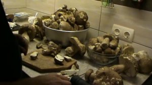 Заготовка белого гриба  / White mushroom harvesting