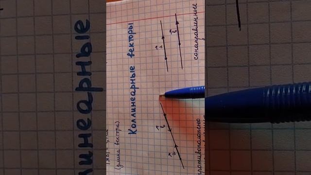 Понятие вектора. Коллинеарные векторы.
