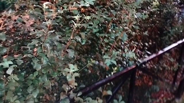 ВЫЗОВ ЫРКИ НОЧЬЮ ! шашки по жизни | что же будет с нами дальше? смотреть онлайн