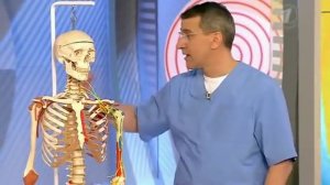 Плексит. Воспаление плечевого сплетения