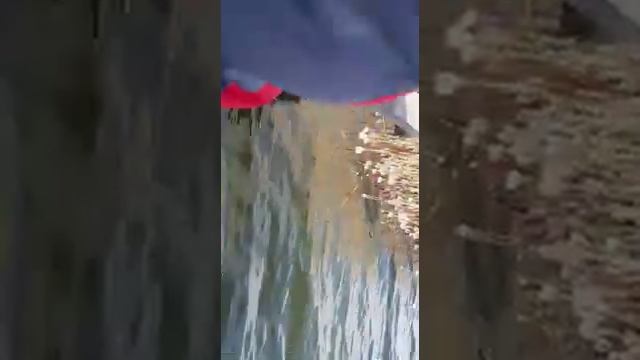 Карповые водоёмы для платной рыбалки в Краснодарском крае. Рыболовная база отдыха - Азовские плавни