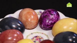 Как покрасить яйца натуральными красителями / Красим яйца куркумой / Красим яйца каркаде #Пасха2022