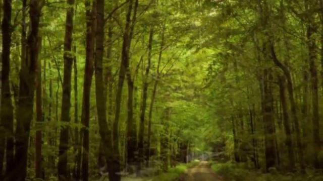 Time To Say Good-Bye Andrea Bocelli ( Featuring Sarah Brightman ) wmv смотреть онлайн