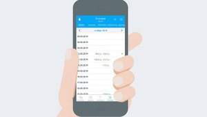 ФЕНИКС школьная карта