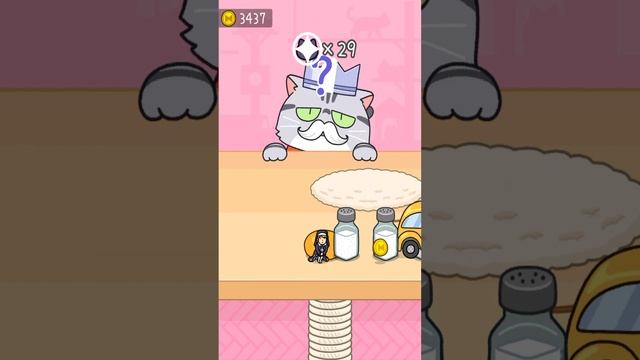 Hide & Seek: Cat Escape Infinity | Endless Mode Silver Crown 2 Gameplay Android/iOS Mobile Game