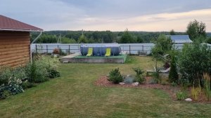 ХВОЙНЫЕ и ЗЛАКИ: новый миксбордер в саду.