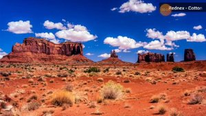 поющий нагец