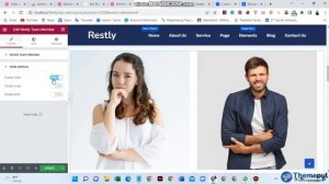 Team Member Widget Customization For Restly WordPress Theme