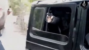 Гио Пика стая 2021