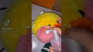 Уточки из тик тока ??