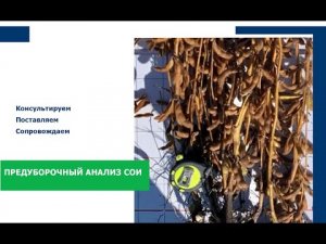 Предуборочный анализ сои/Сельское хозяйство в России/Вуксал