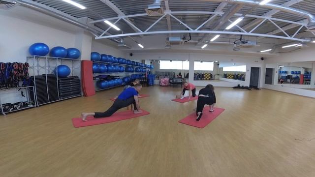 Миофасциальные цепи смотреть онлайн