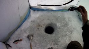 Ловля белой рыбы зимой