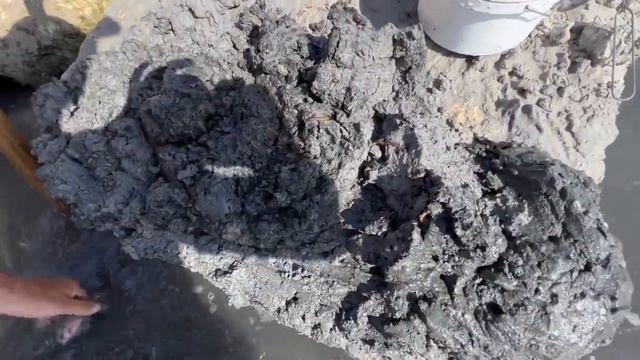 Морские черви смотреть онлайн