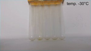 Olej 5W40 Test Zimna -30°C Shell 5W40, Mobil 5W40, Lotos 5W40, Castrol 5W40, Elf 5W40