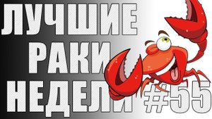 ЛРН выпуск №55. ПРОЗРАЧНЫЙ ТАНК и ЖЕНСКАЯ ЛОГИКА [Лучшие Раки Недели]