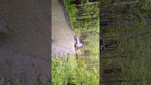 Аппарат дервейс плутус