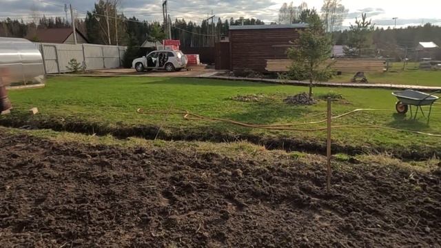 Сеим газон. Пробуем новые семена на новом участке.