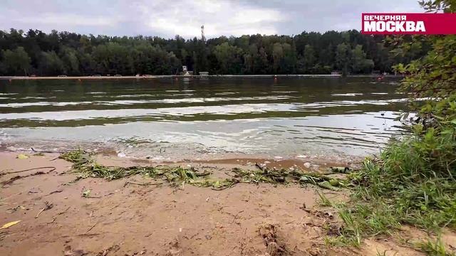#Гуляем_ВМесте: что посмотреть в парке Серебряный бор?