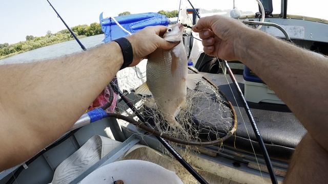 ЛЕТНЯЯ РЫБАЛКА НА ДОНУ С ЛОДКИ ПЕРВЫЙ ВЫЕЗД смотреть онлайн