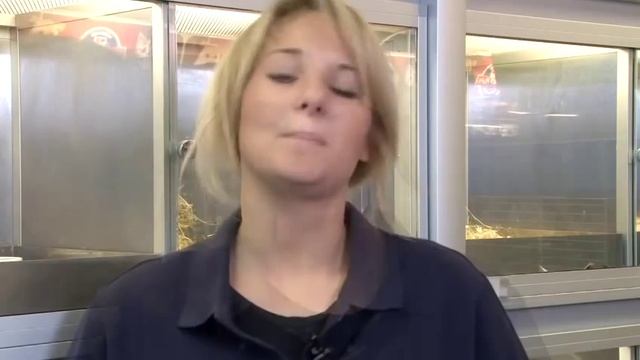 How To Take Care Of Dwarf Rabbits смотреть онлайн