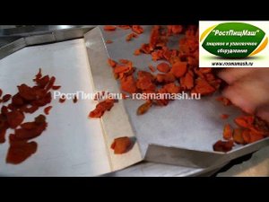 Машина для резки сухофруктов на кубики DY-801 от РостПищМаш