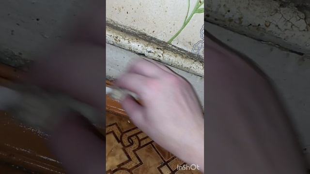 Супер средство для мытья кухни! Им можно даже грехи смыть ? #средстводлядезинфекции #самокат смотреть онлайн