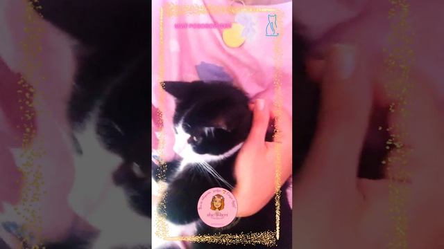 ? Невероятный ласкушка спинальник Тедди с "воздушными топоточками ". Правда очаровательный? ?
