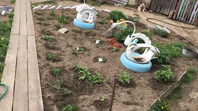 Накатило ...//С огурцами покончено// смотреть онлайн