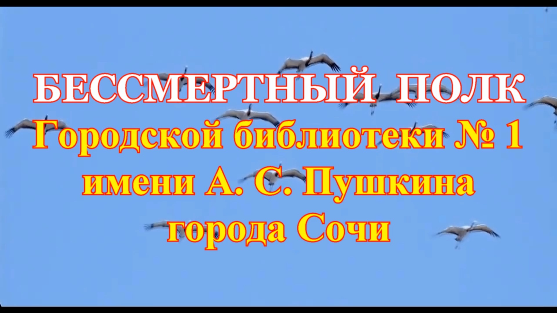 Наш Бессмертный Полк. Городская библиотека № 1 имени А. С. Пушкина города Сочи.