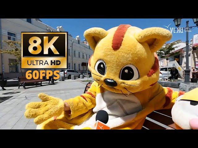 Я уже никому не верю и ничего не жду (8K 60fps UHD)