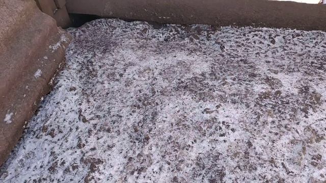 СОДЕРЖАНИЕ ГУСЕЙ в СИБИРИ