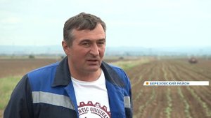 В Красноярском крае заканчивается посевная кампания