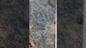 Декоративная штукатурка San Marco "Muratore" + Sikkens "Alpha Tacto".