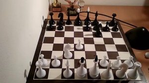 Шахматы. Защита Каро-Канн. Как играть за белых и ЧАСТАЯ ОШИБКА ЧЁРНЫХ!