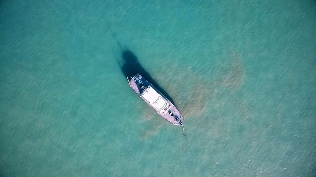 Арнольд Шварценеггер САМАЯ СИЛЬНАЯ МОТИВАЦИЯ смотреть онлайн