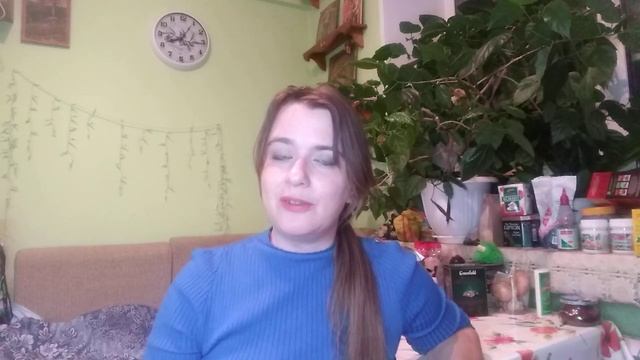Выборнова Кристина Александровна - репетитор по русскому языку - видеопрезентация