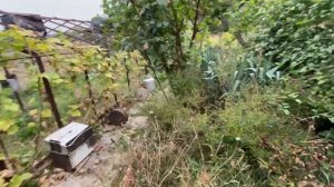 Дом в КРЫМУ в лесу за 3 млн. руб. | купить дом в КРЫМУ