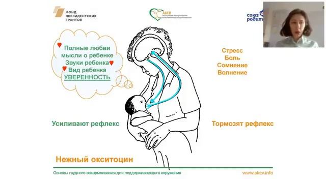 2020 09 23 курс мам 1 занятие Физиология лактации смотреть онлайн