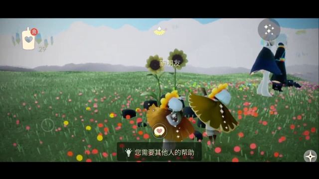 sunflowers - chinese sky cotl - sky children of the light