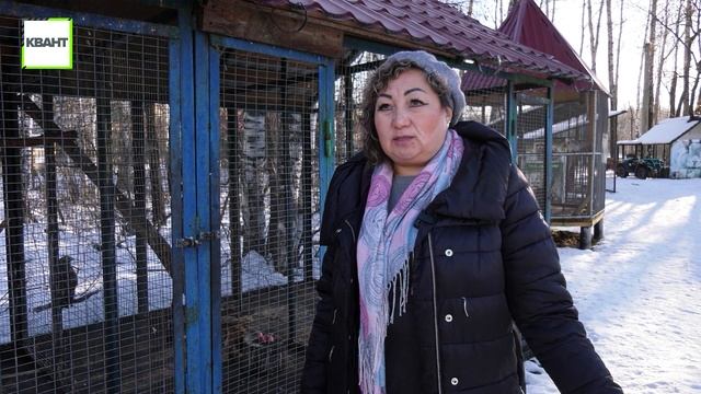 В «Крыльях» пополнение смотреть онлайн