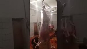 Как режут бычков